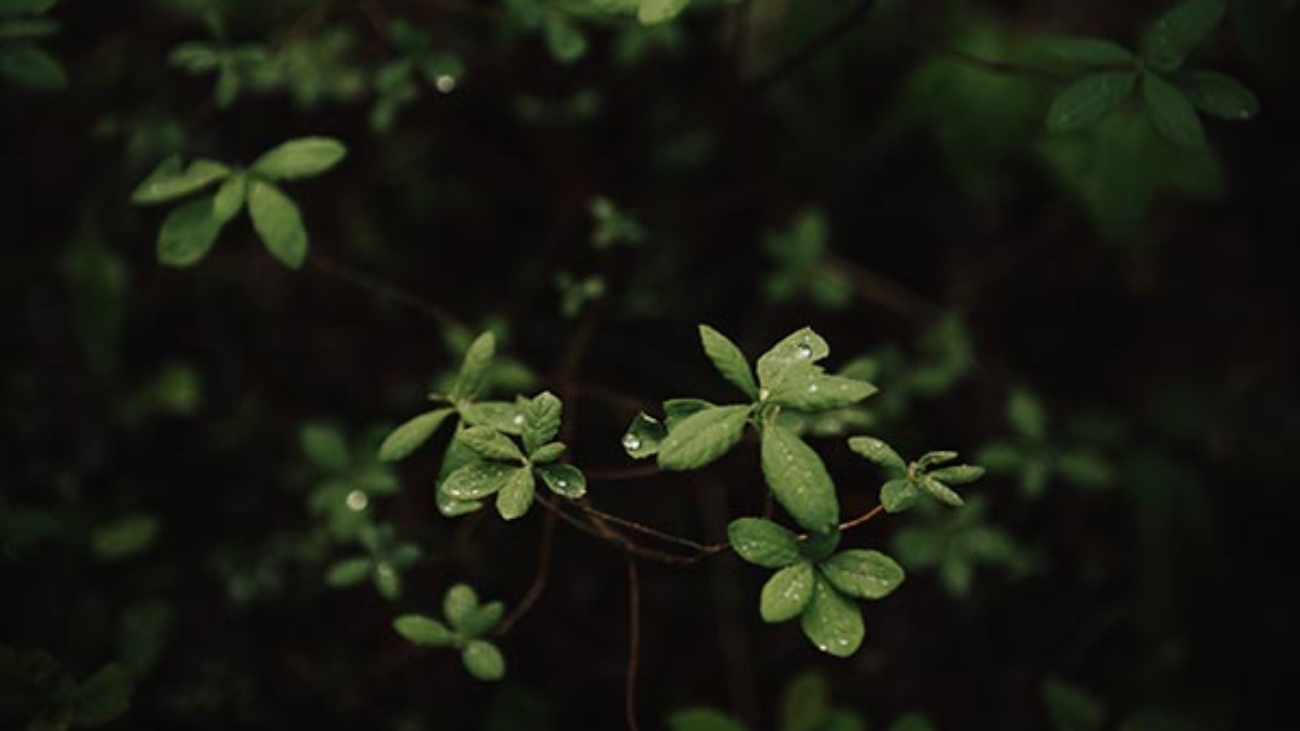 ben-karpinski-uR_pNOruRPk-unsplash